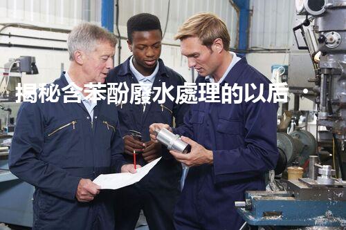 揭秘含苯酚廢水處理的以后？
